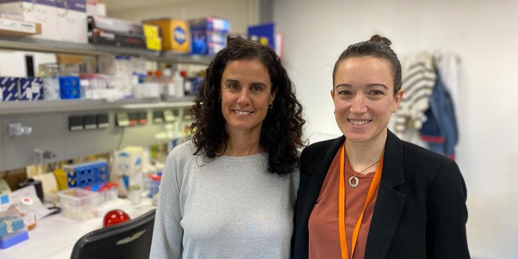 Nuevas recomendaciones para la clasificación de variantes en los genes POLE y POLD1 para mejorar la precisión diagnóstica en cáncer hereditario