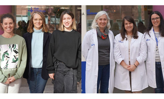 Un estudio abre la puerta a un nuevo tratamiento basado en nanopartículas para la enfermedad hepática crónica Un estudio abre la puerta a un nuevo tratamiento basado en nanopartículas para la enfermedad hepática crónica