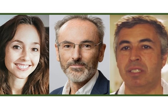 La cuádruple terapia con bismuto en cápsula única, tratamiento erradicador efectivo frente a Helicobacter pylori La cuádruple terapia con bismuto en cápsula única, tratamiento erradicador efectivo frente a Helicobacter pylori