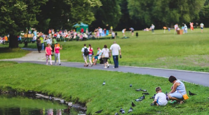 La exposición a espacios verdes protege la salud cardiovascular de las personas mayores