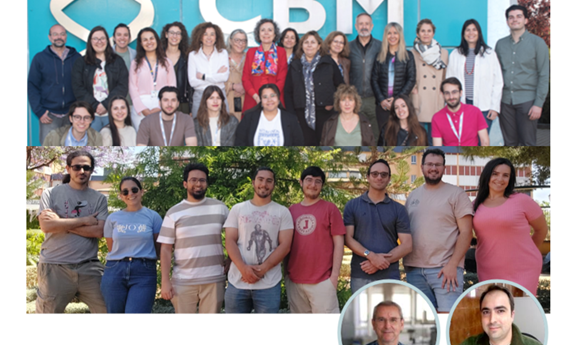 Descubren una potencial diana terapéutica para la enfermedad metabólica rara PMM2-CDG Descubren una potencial diana terapéutica para la enfermedad metabólica rara PMM2-CDG