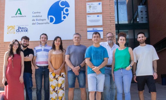 Nuevas variantes expanden el fenotipo neurológico de la deficiencia de COQ7 Nuevas variantes expanden el fenotipo neurológico de la deficiencia de COQ7