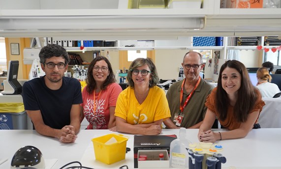 SpadaHC, una nueva base de datos para mejorar la clasificación de variantes en genes de cáncer hereditario en la población española SpadaHC, una nueva base de datos para mejorar la clasificación de variantes en genes de cáncer hereditario en la población española