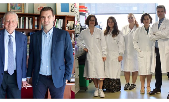 Descubre un nuevo factor de riesgo cardiovascular e identifica un fármaco capaz de reducir sus efectos Descubre un nuevo factor de riesgo cardiovascular e identifica un fármaco capaz de reducir sus efectos