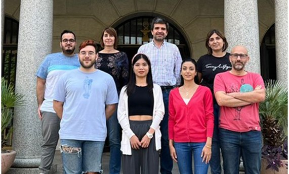 Identifican una nueva estrategia potencial para frenar el desarrollo de la fibrosis hepática Identifican una nueva estrategia potencial para frenar el desarrollo de la fibrosis hepática