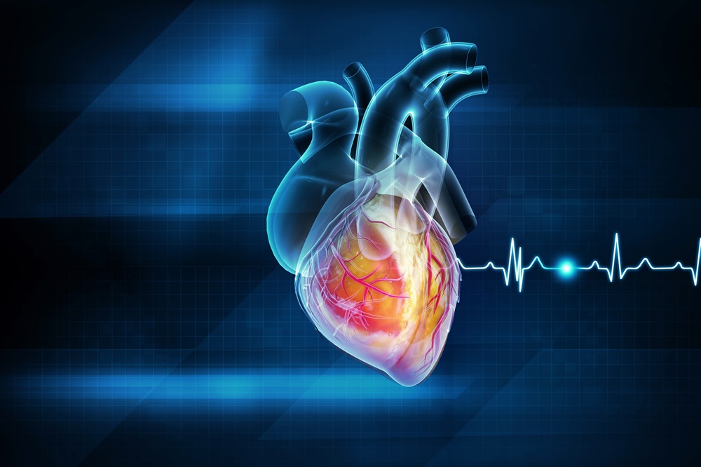 Identifican un nuevo factor relacionado con la insuficiencia cardíaca