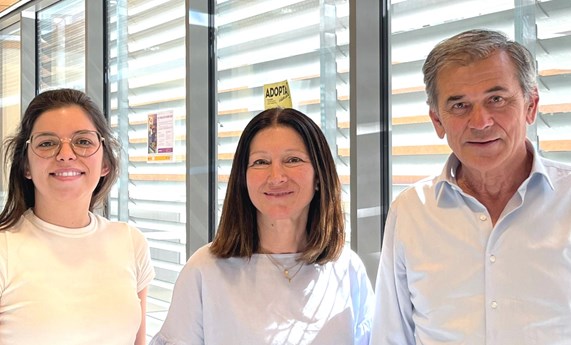 Aportan las primeras evidencias experimentales sobre la eficacia de la terapia génica 'in vivo' para la anemia de Fanconi Aportan las primeras evidencias experimentales sobre la eficacia de la terapia génica 'in vivo' para la anemia de Fanconi