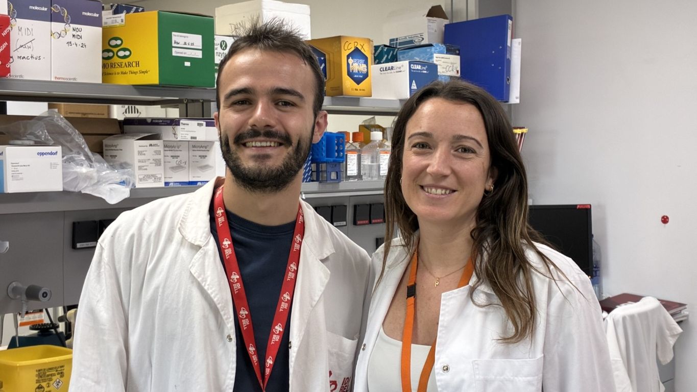 Describen el impacto clínico y molecular de mutaciones en genes clave para la replicación y reparación del ADN