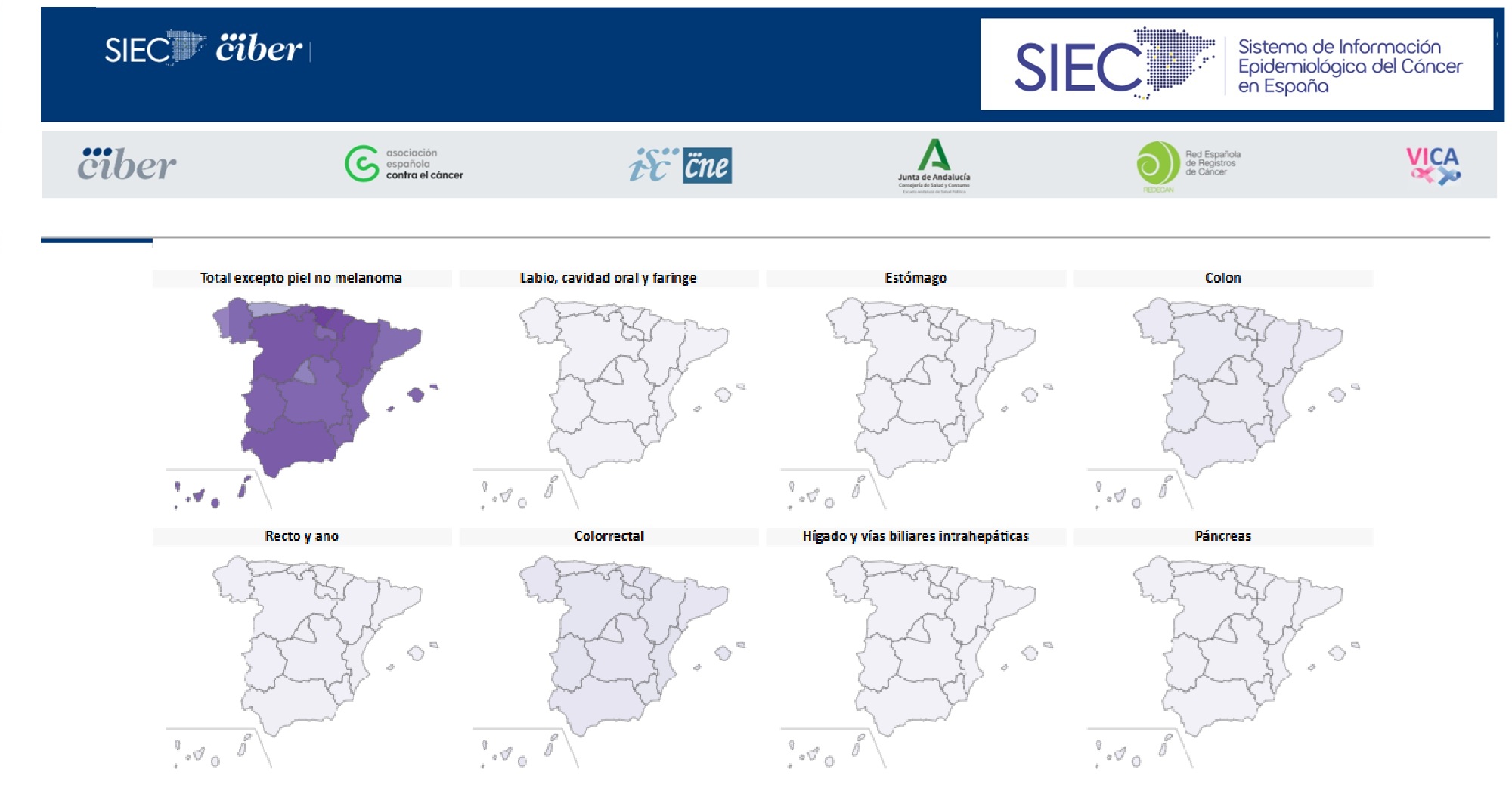 Nace el primer sistema de información que centraliza los indicadores epidemiológicos del cáncer en España y por Comunidades Autónomas