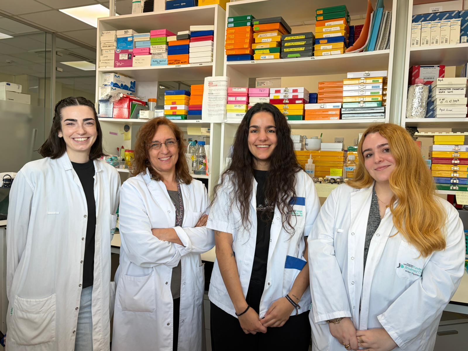 Hallan un nuevo eje molecular que regula la inflamación vascular en la diabetes