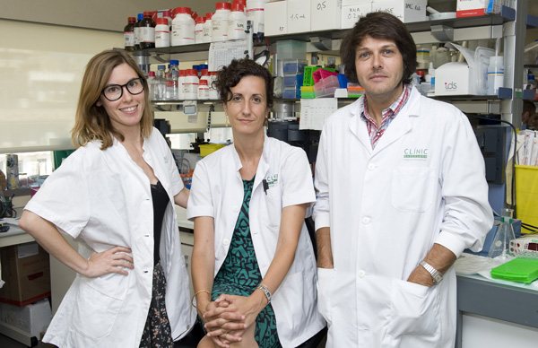 Un estudio relaciona alteraciones en un tipo específico de neuronas con la diabetes de tipo 2