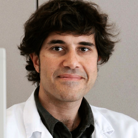 Un metaanálisis de estudios de fMRI confirma que existe un patrón de activación/desactivación neural asociado con el condicionamiento del miedo