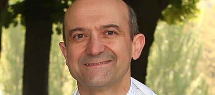 El aceite de oliva reduce hasta un 66% los problemas circulatorios en extremidades