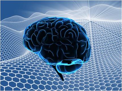 Microagujas de grafeno para medir la actividad cerebral