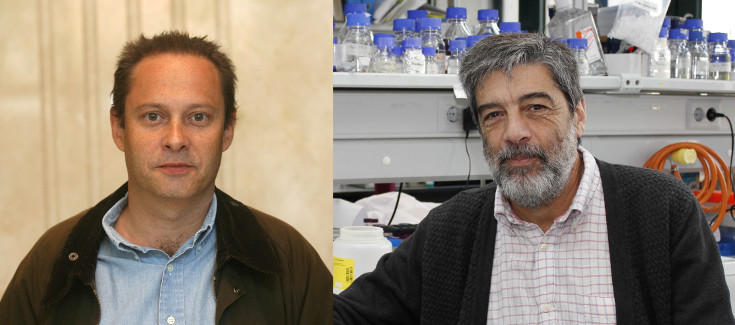 Ubiquinol, designado medicamento huérfano para el tratamiento de la deficiencia primaria de coenzima Q10