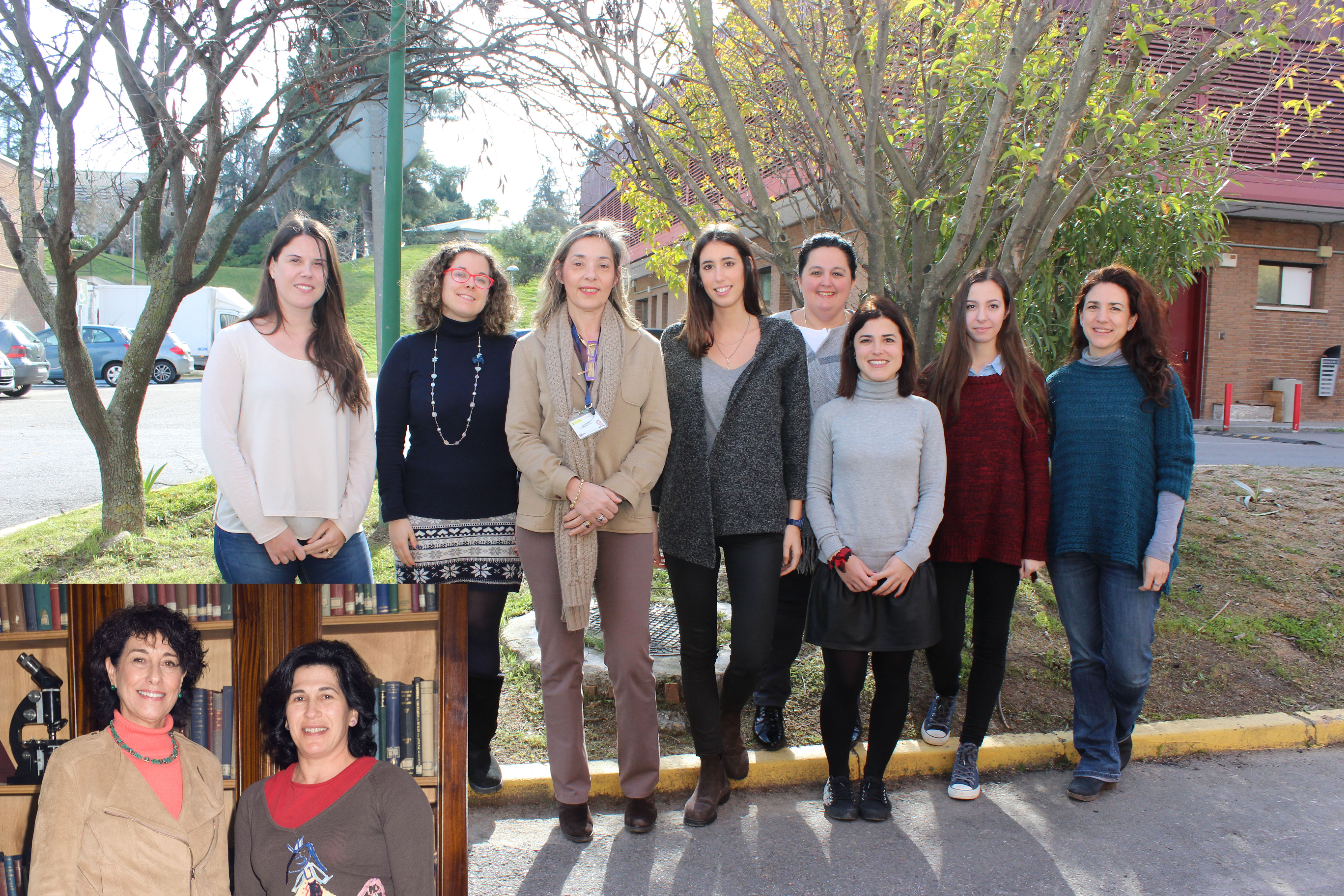 Identifican un nuevo tratamiento para la enfermedad de hígado graso no alcohólico