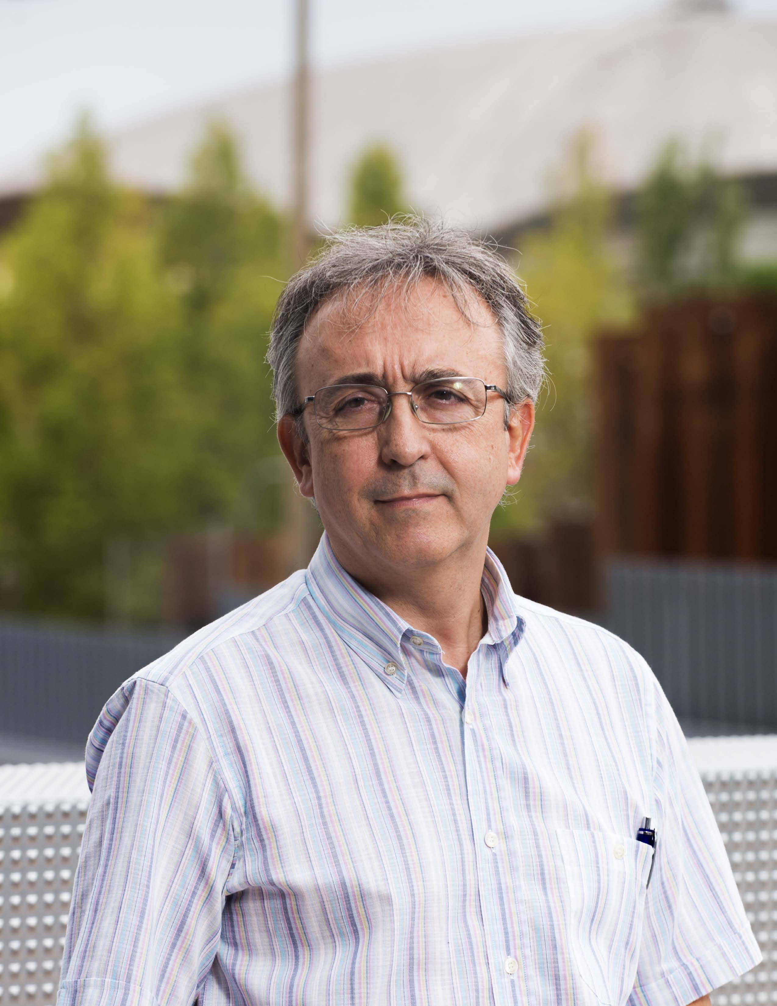 Un pequeño grupo de neuronas modula la cantidad de insulina que el páncreas debe liberar