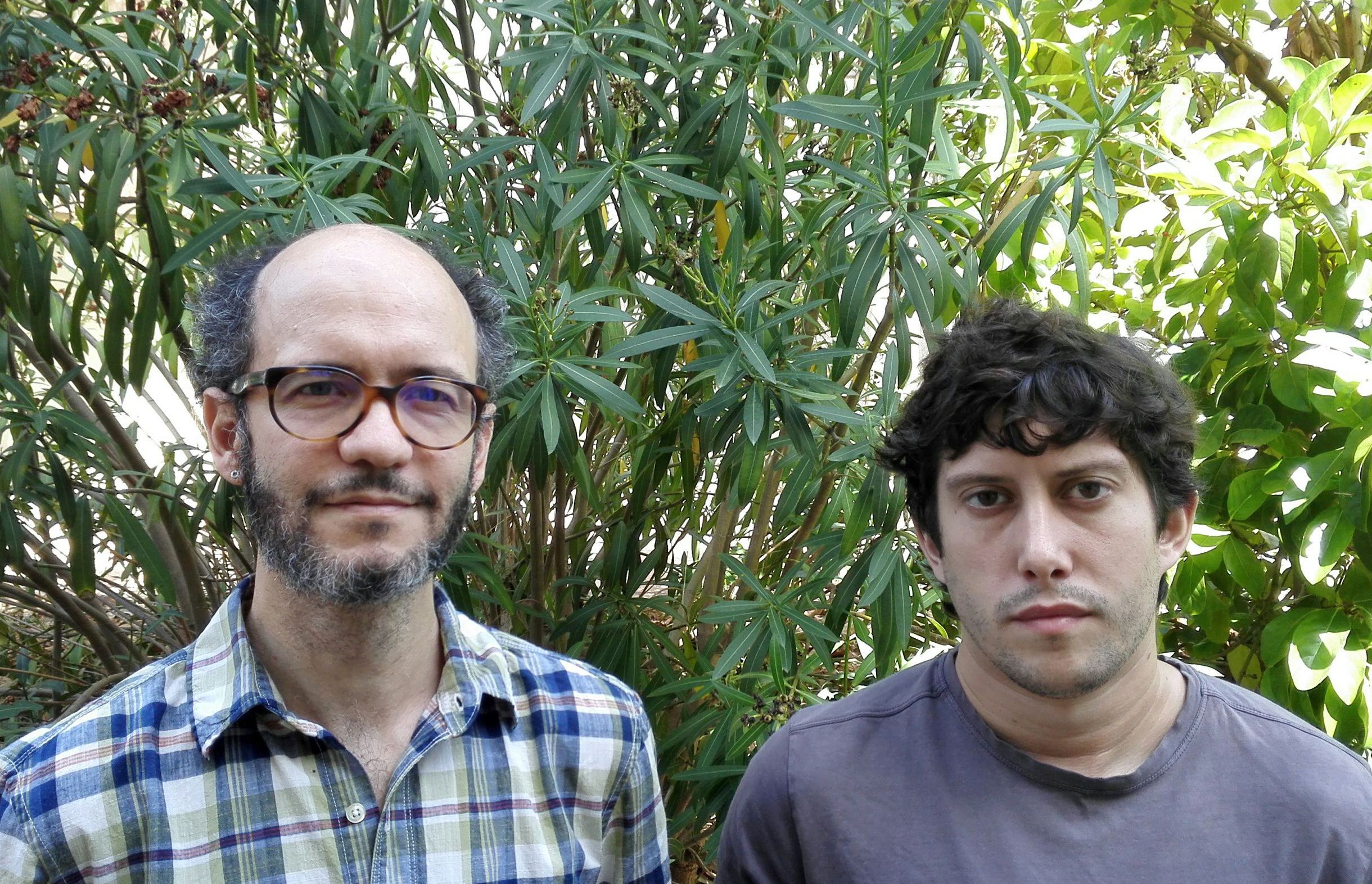 Estudian las diferencias de simetría cerebral en hombres y mujeres y su posible asociación con ciertos transtornos mentales